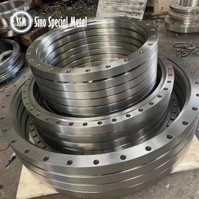 ISO 9624 ISO 7005-1 UNS N04400 WNR 2.4360 モネル 400 フランジ