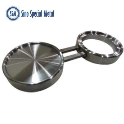 WNR 2.4600 ASTM B564 ハステロイ B2 ストック仕上げパドル ブラインド