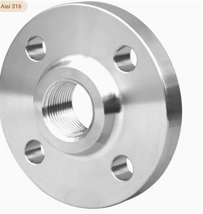 304 316 316L AISI 150 RF FM BSP NPT ねじ込みねじフランジ