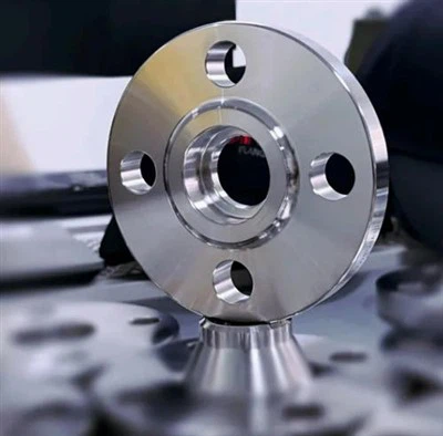 鍛造ステンレス鋼 A182 F304 管フランジ